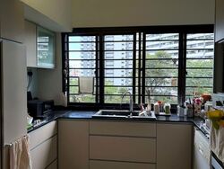 Pandan Valley (D21), Condominium #575034441